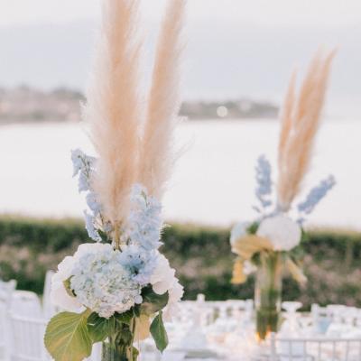 Img 3545
